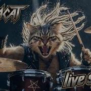 Megacat Fury Of The Claws