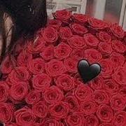 Польки Цыганские Новые