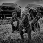 Сборники 777Danna777