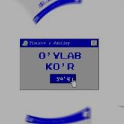 T1Murov 19