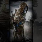 Stalker Закон Зоны