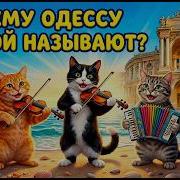 Шансон Одесский