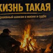 Жизнь Такая Брат 2026