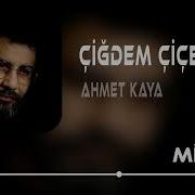 Çiğdem Çiçek Remix