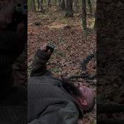 Я Собираю Грибы
