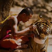 Махов Алексей