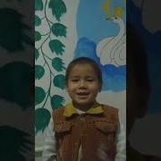 Богча Шерлари