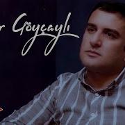 Elsevier Goycayli 2021