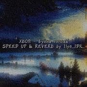 Хвоя Speed Up