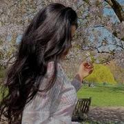 Сеймур Веледов Амина