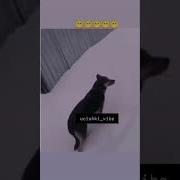 А Ну Пошел Отсюда