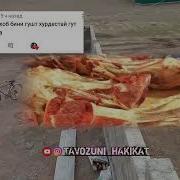 Гушти Мург Дар Хоб