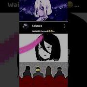 Bokp