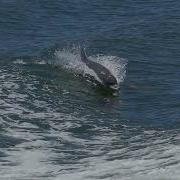 Вокализ Женский