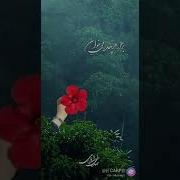 Бо Худо Бимон