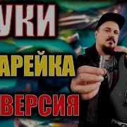 Skyfox Rock Батарейка