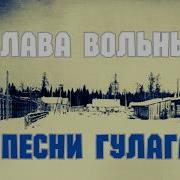 Слава Вольный Песни