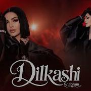 Шабнами Сурайё Дилкаши