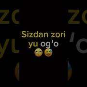 Ака Сиз Зурисиз