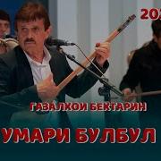 Умари Булбул