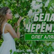 Помну Ветки Спелые