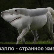 Звуки Для Виброколонки