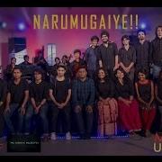 Narumugaye
