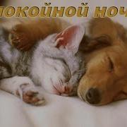 Ой Люли Люшеньки