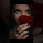 Трек Мимо Судьбы