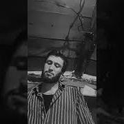 Layli Layli Шабо Мазор Мерам