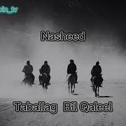 Нашид Табаля