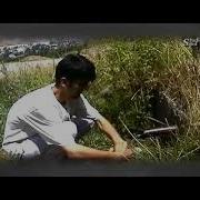 Махмадали Умар Медонам