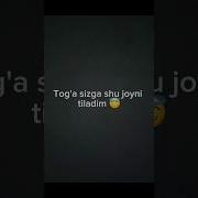 Tog Ajon Haqida Sherlar