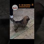 Валера Наоборот