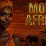 Moyo Moyo Africa