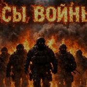 Холодный Разум Псы Войны