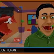 Weird Simulator