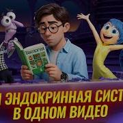 Эндокринная Система Огэ