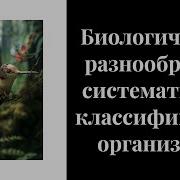12 Параграф 5 Класс