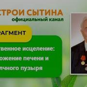 Настрой Сытин Желчный Пузырь