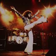 The Zoos Animal Nation