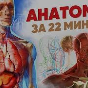 Аудиолекции По Медицине