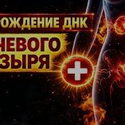 Сытин Мочевой