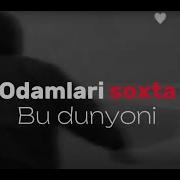 Odamlari Soxta Bu Dunyo