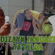 Dizayn Dachada
