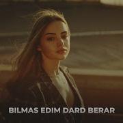 Bilmadim Dard Berar Turkcha