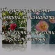 Белые Желтые Красные Алые Розы