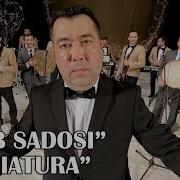 Менятура Кушиги