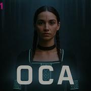 Группа Зверобой Альбомы