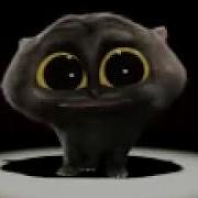 Черный Кот Танцует